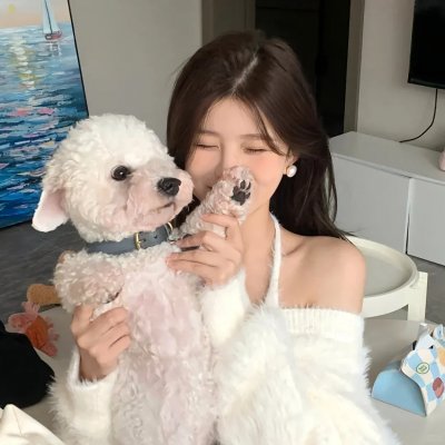 冬之光