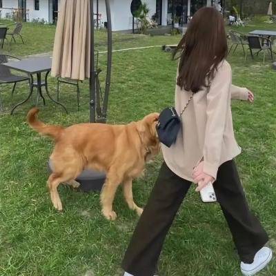 暴躁天使
